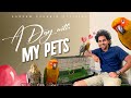 A day with my pets  saddam hussain official