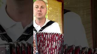 «Ехал казак во широкое поле» исполняет автор Александр Левкин #гармонь