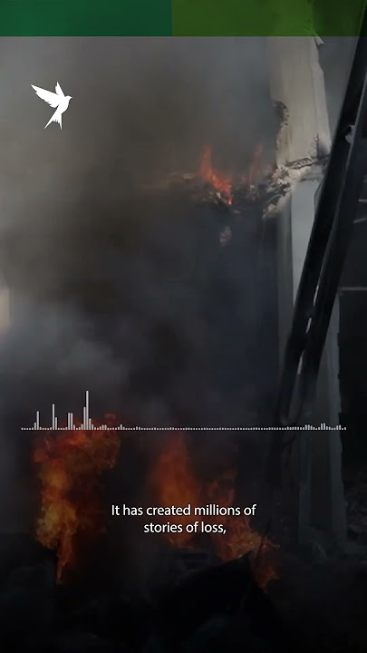 Sanaa's Odyssey: Surviving Israel's War on Gaza