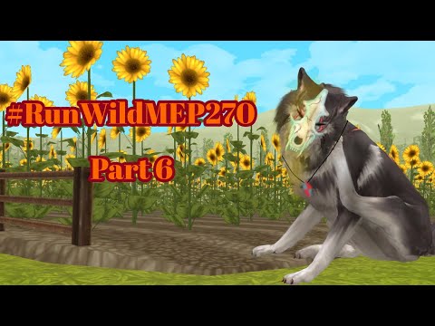 #RunWildMEP270 - WildCraft || Part 6