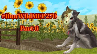 #RunWildMEP270 - WildCraft || Part 6