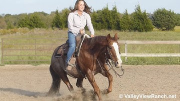 Cougars Royalty - jogs,lopes, stops, turns beautiful BROKE gelding - ValleyViewRanch.net