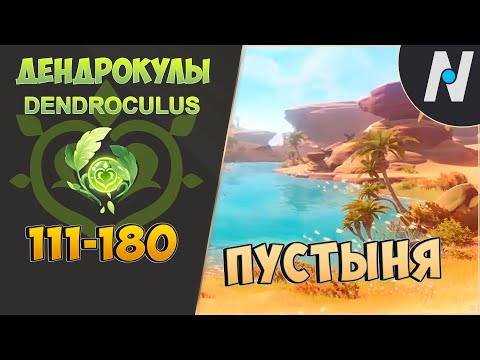 ВСЕ ДЕНДРОКУЛЫ - Часть 2. ЛУЧШИЙ МАРШРУТ СБОРА | GENSHIN IMPACT