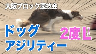【ドッグスポーツ】2022JKC大阪ブロックアジリティー競技会　AG 2度 ラージクラス～収録映像～