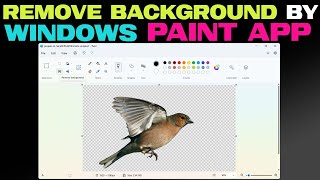 Remove Background from Picture by Paint App in Windows screenshot 5