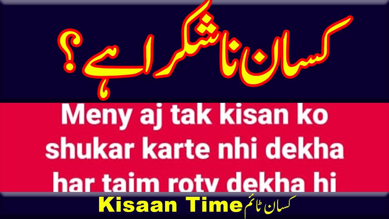 Kisan Na Shukra hai?? کسان نا شکرا ہے؟ kisan time