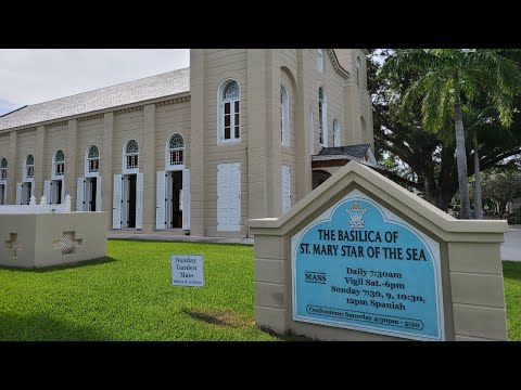 The Basilica School of Saint Mary Star of the Sea students First Holy Eucharist