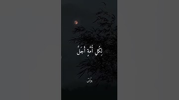 #quran #قرآن #قران_كريم #عبدالرحمن_مسعد #سورة_يونس