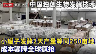 打破全球无量产困境！中国独创生物发酵技术，小罐子发酵2天，相当于1年250亩天然作物的产量！成本骤降全球疯抢【为你喝彩】