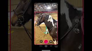 Equestrian Marina Layton shares her #pivopov