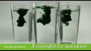 Хлорофилл жидкий NSP.