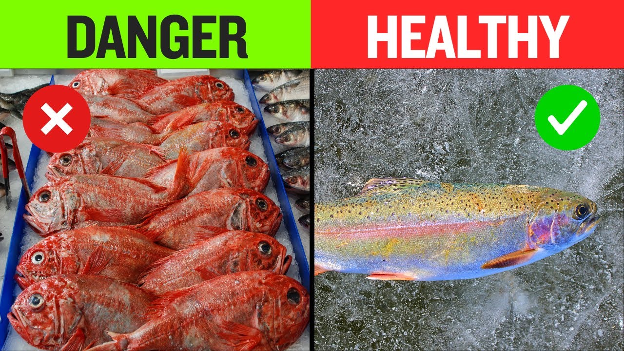 5 of The Healthiest Fish to Eat and 5 to Avoid - YouTube
