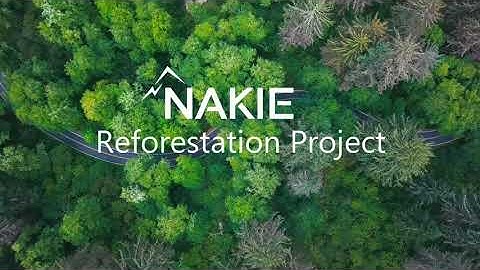 Madagascar Reforestation project