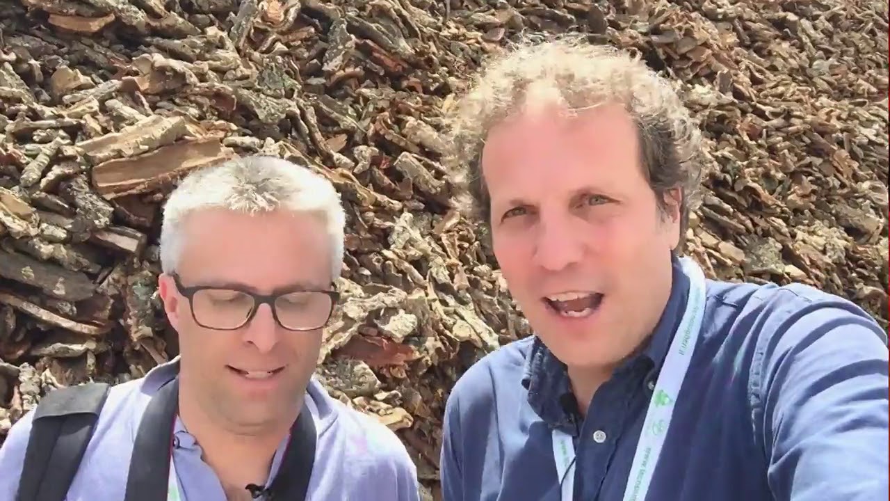 Isolante in sughero espanso - viaggio studio in Portogallo tra decortica e ciclo produttivo