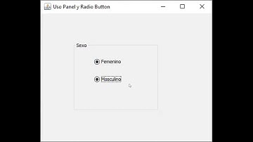 Interfaz Gráfica (5) - Java - Ejemplo Panel y Radio Button