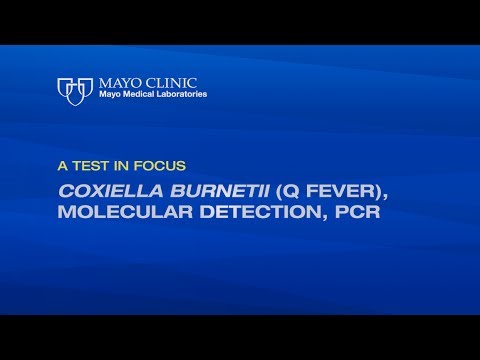 A Test in Focus: Coxiella burnetii (Q Fever), Molecular Detection, PCR