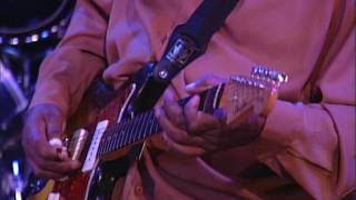 Magic Slim & The Teardrops - I Need Lovin' (Live) chords