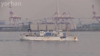 Research Vessel / Survey Ship: KAIYOMARU NO.1 (Kaiyo Engineering, IMO: 8401365)