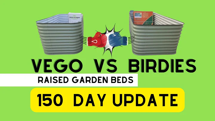 Every Question You've Asked Me About The Vego and ...