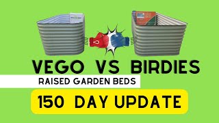 Every Question You've Asked Me About The Vego and Birdies: The 150 Day Raised Garden Bed Update