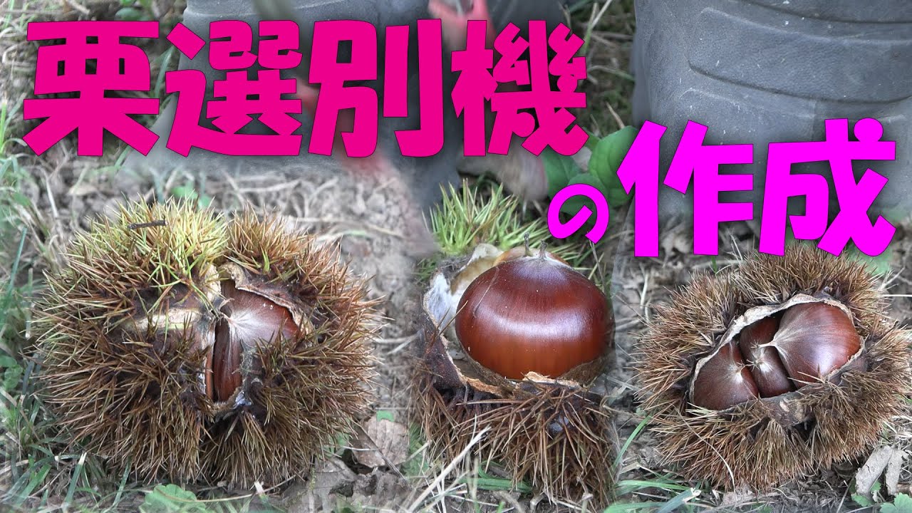 栗】栗選別器の作成 - YouTube