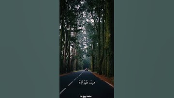 كنتم خير أمة أخرجت للناس.. القارئ محمد ربيع ندا