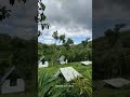 അറിയാതെ പോകരുതിവിടം✨#trending#viral#viralreels#tourism#trip#viralshorts#shorts#short#shortsfeed#vaga