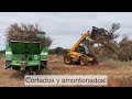 Arranque Frutales