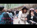 嵐山大河内山荘紅葉ツーリング