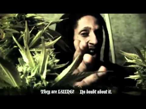 Julian Marley -  Boom Draw