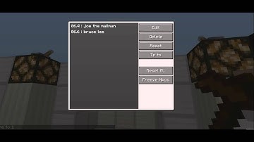 Minecraft Mod Review - Custom NPC