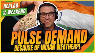 Indian weather & pulse demand, CUSMA, & Canada's AI strategy | RealAg on the Weekend June 13 & 14/26