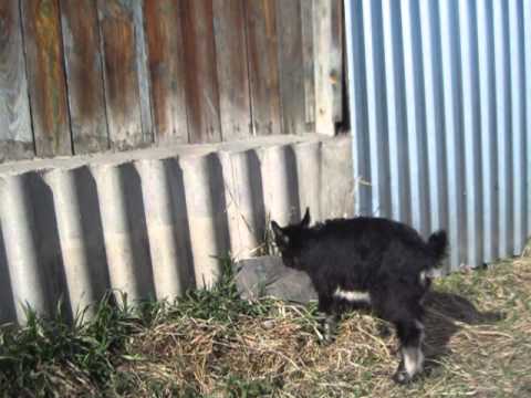 познаем мир играя познаем мир играя