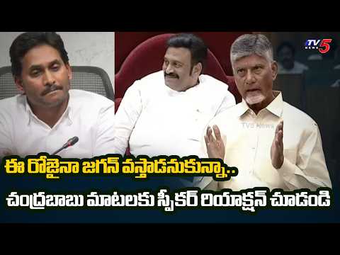 CM Chandrababu Comments on Jagan And YSRCP in AP Assembly | Speaker Raghu Rama | TV5 News - TV5NEWS