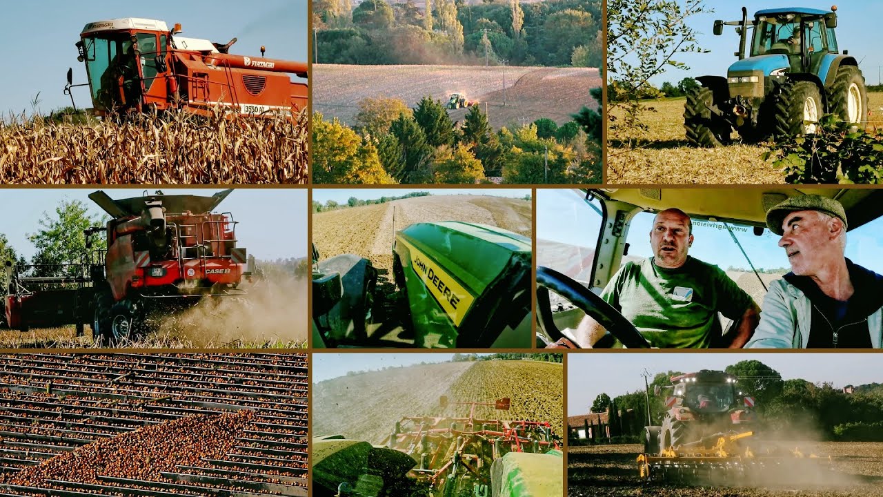 Moissons & Travaux oct. 2025 Lauragais | Laverda Fiat 3550, JD 8R, Case IH 6140, New Holland TM140…