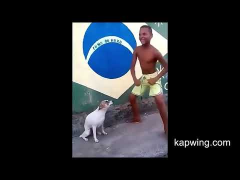 ძალიან სასაცილო ვიდეო Dog dancing and singing