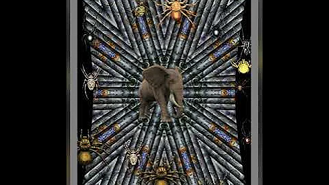 Animals in the Vortex- by Wanda Sanders