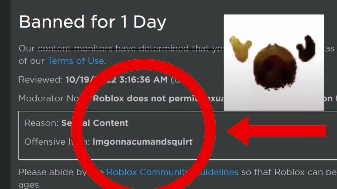 Roblox 1 day ban youtube