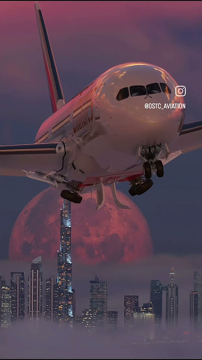 plane 🥰 #dubai #youtubeshorts #skyviews #youtubegrowthtips #dubailife #headlights #dubaiattractions