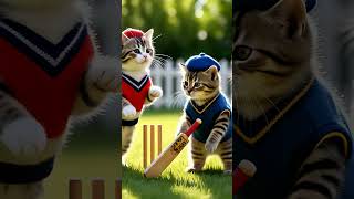 Httpsyoutubecomshortstqshlk1lufwsihxrx09i6camuabycute cat shortsfeed