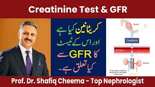 Creatinine Test & estimated GFR