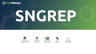 SNGREP Quick Start Guide - Understanding SIP Messaging screenshot 4
