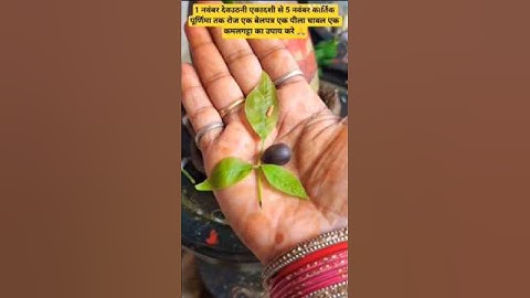 1 नवंबर देवउठनी एकादशी से 5 नवंबर तक कार्तिक पूर्णिमा में रोज एक बेलपत्र एक चावल का दाना अवश्य चढ़ाए