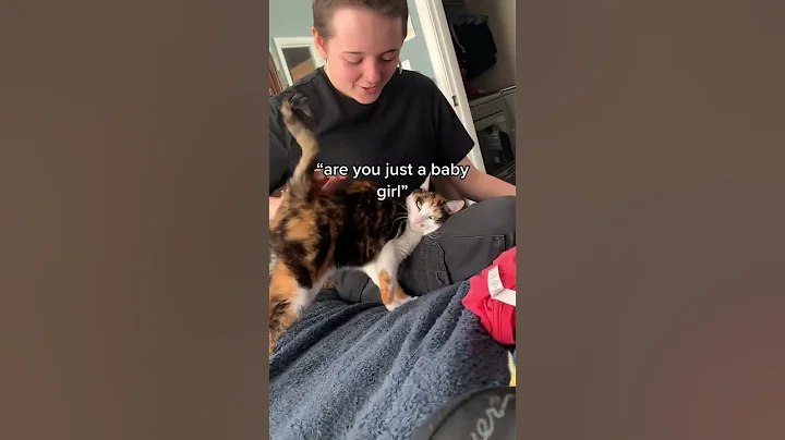 Watch the video about Funny cat Moments 🐈 #cats #funnycats #kitten #catvideos #catlover #kitty