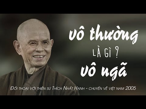 VÔ THƯỜNG VÔ NGÃ là gì - Đối thoại với TS Thích Nhất Hạnh | Foci