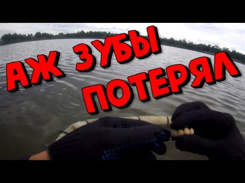 Поиск на Металлоискатель,не