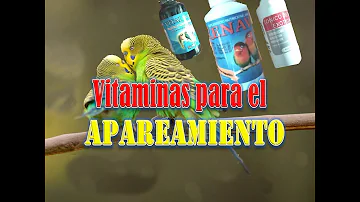 ¿Para qué sirve el apareamiento?