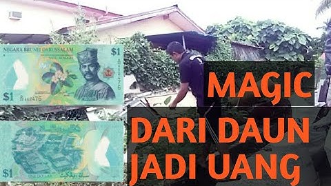 Cara edit daun menjadi uang (KINEMASTER)