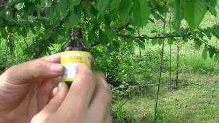 видео Как бороться с личинками майского жука на огороде