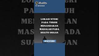 Lokasi Nyeri Dan Sakit Pada Bagian Tubuh Tertentu Menandakan Ada Masalah Di Organ Tersebut